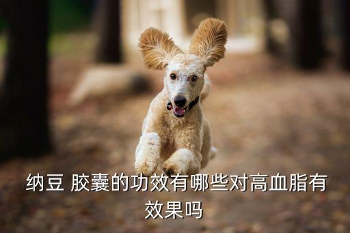 納豆膠囊溶血栓嗎,納豆溶血栓是真的嗎...